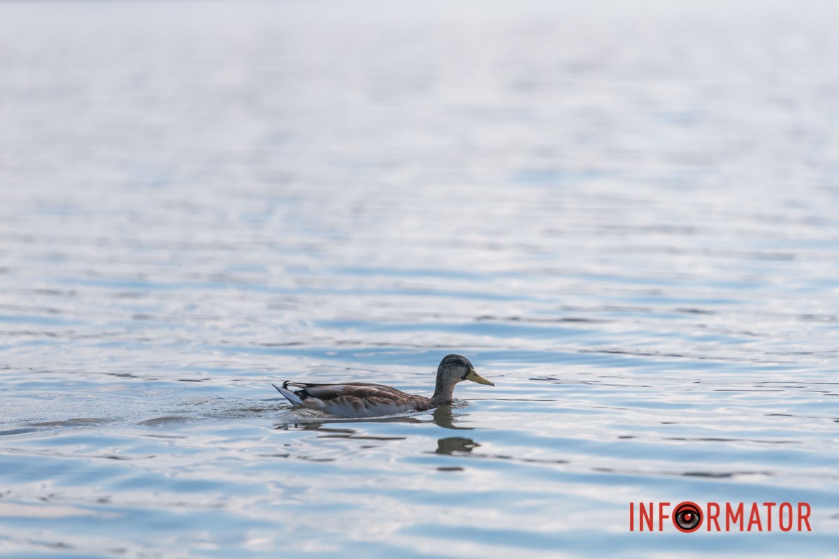 Фото: Оксана Кротюк