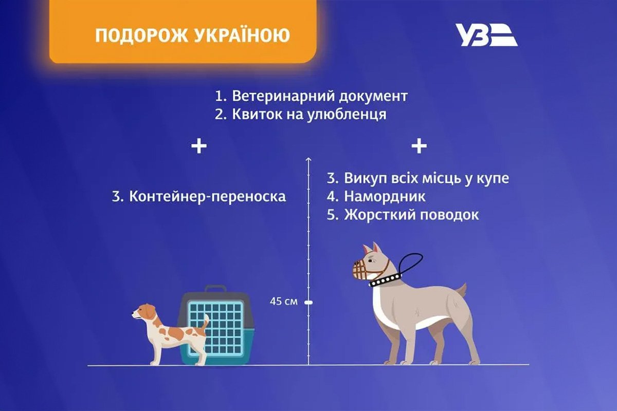 Домашніх улюбленців можна брати із собою у подорож Домашніх улюбленців можна брати із собою у подорож