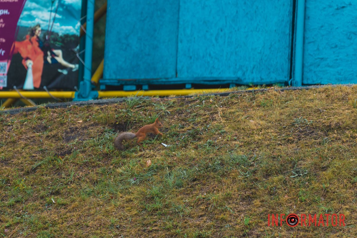 Осінні кольори стали ще більш насиченими