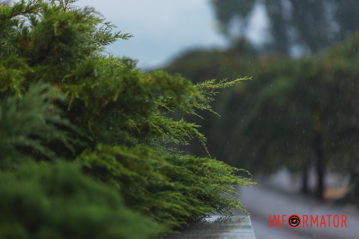  Після дощу, місто почало ніби-то нове життя