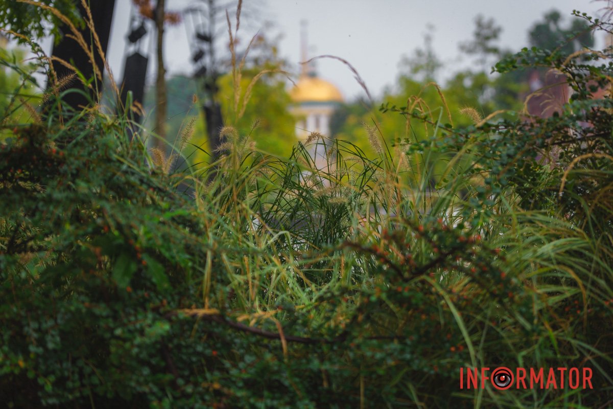 Місто після дощу