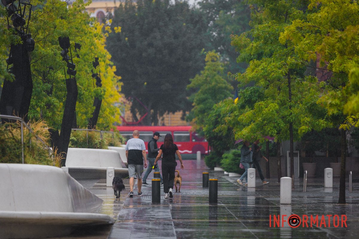 Весела прогулянка після дощу