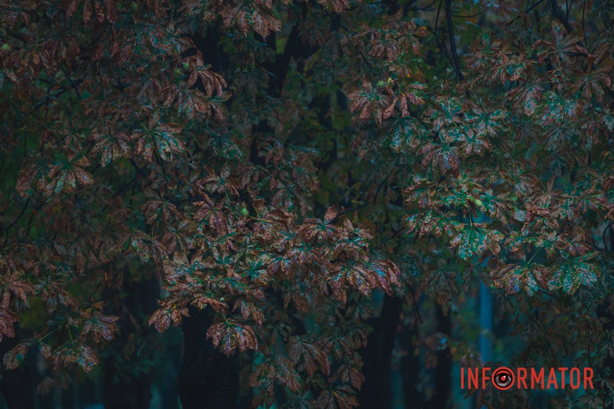 Осінь у великому місті