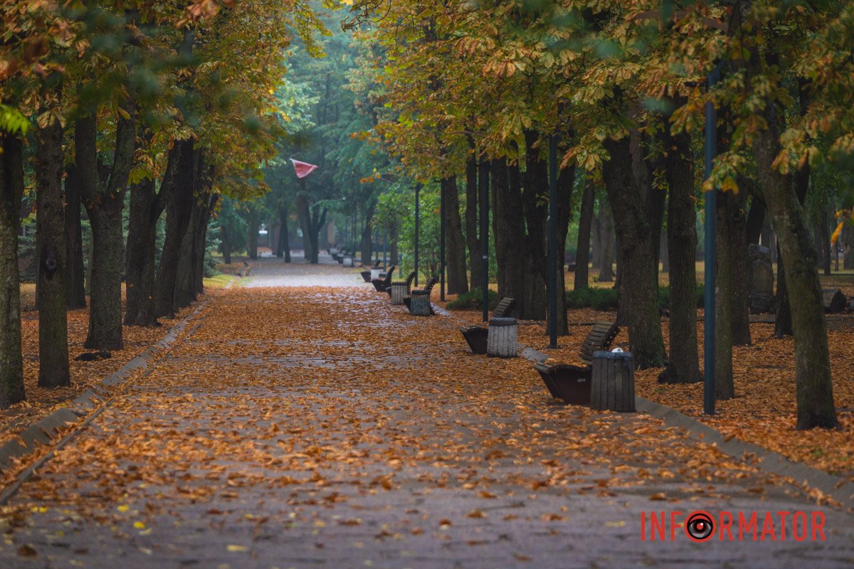 Дощовий день, але настрій сонячний