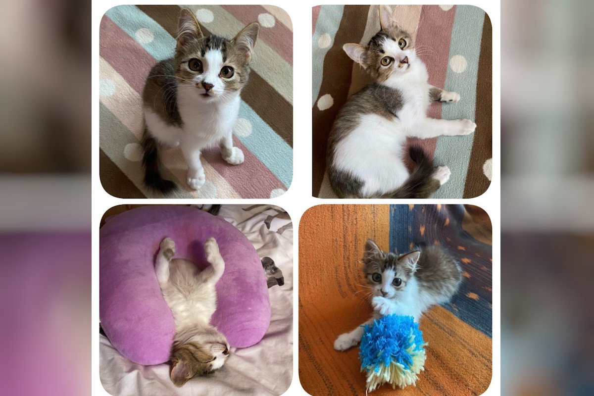 Малятко Малятко