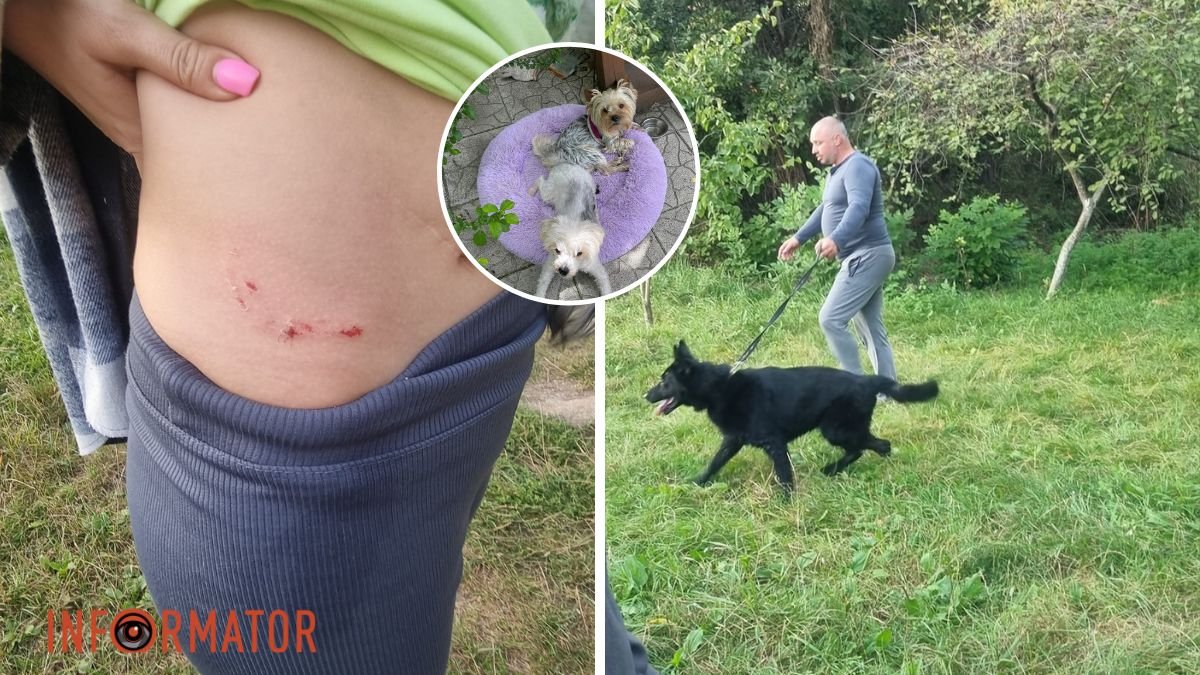 В Днепре в парке овчарка укусила женщину и нападала на йоркширского терьера: комментарий полиции