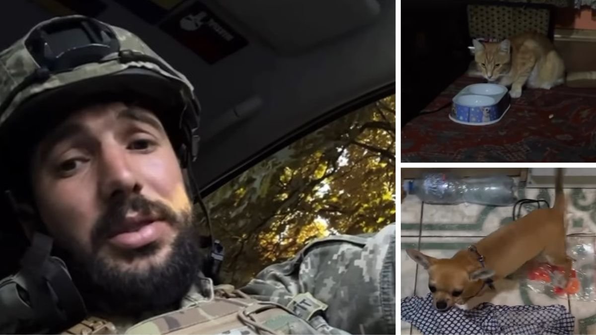 В Павлограде военный забрал животных у девушки, которая издевалась над ними: за пушистыми ехал из Донецкой области