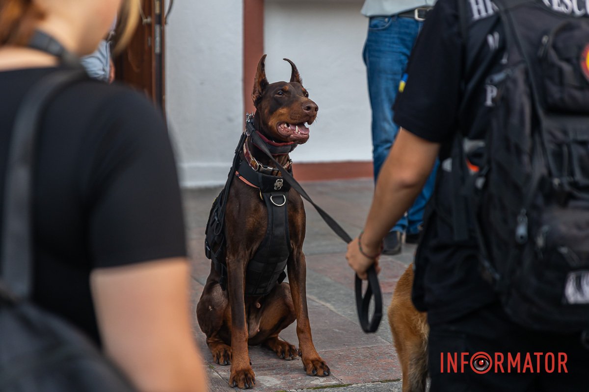 "Шукачі загублених душ" "Шукачі загублених душ"