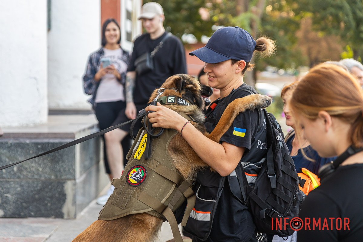 Неймовірно ласкаві собаки Неймовірно ласкаві собаки
