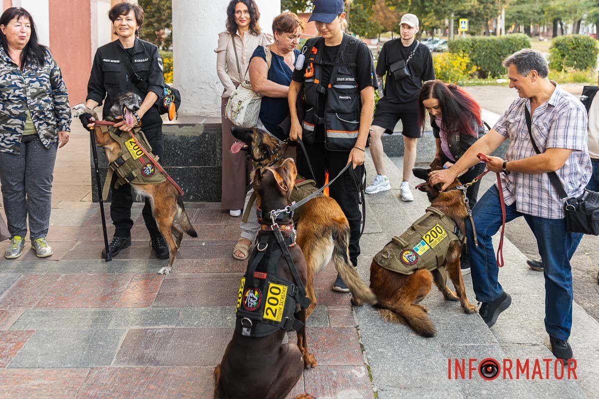 Собаки свою роботу сприймають як гру Собаки свою роботу сприймають як гру