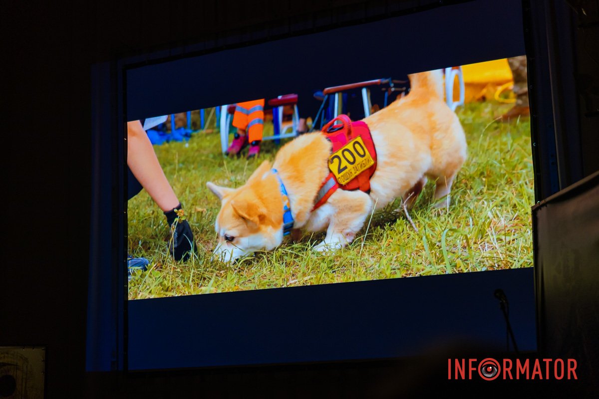 Показ розпочато Показ розпочато