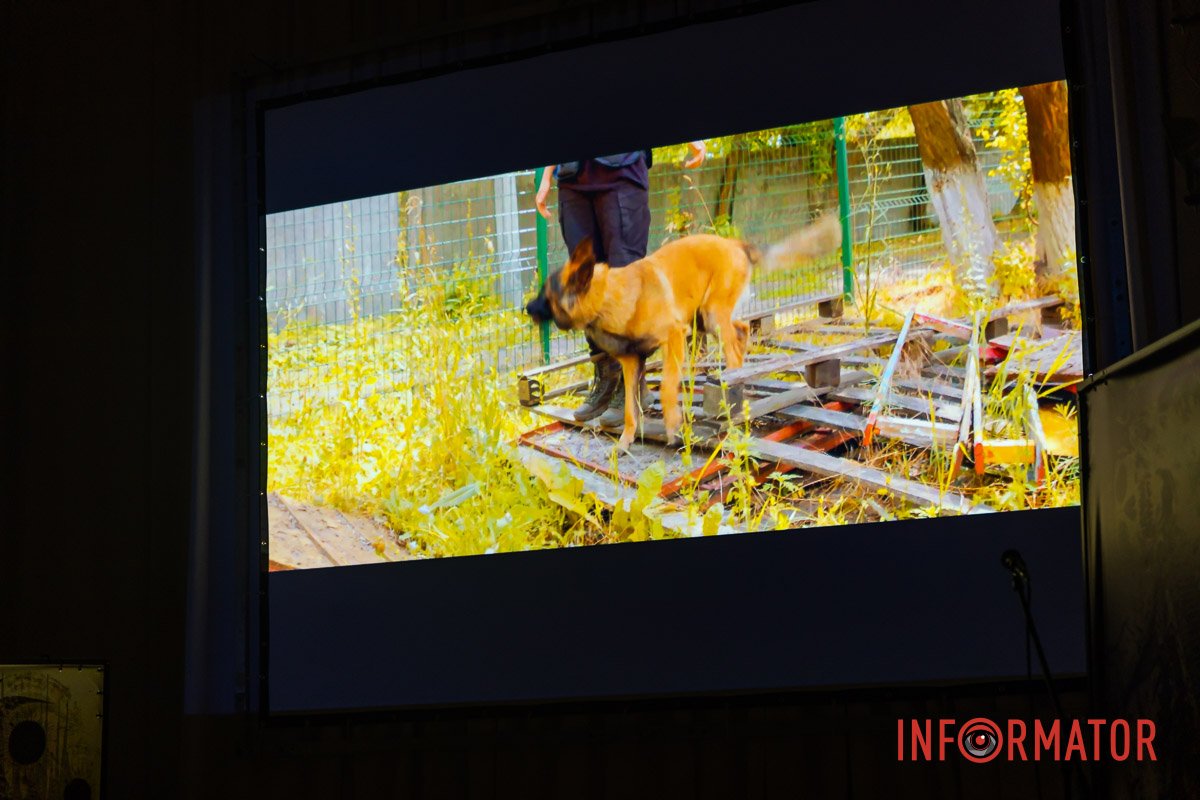 У деяких собак на рахунку понад 100 знайдених душ У деяких собак на рахунку понад 100 знайдених душ