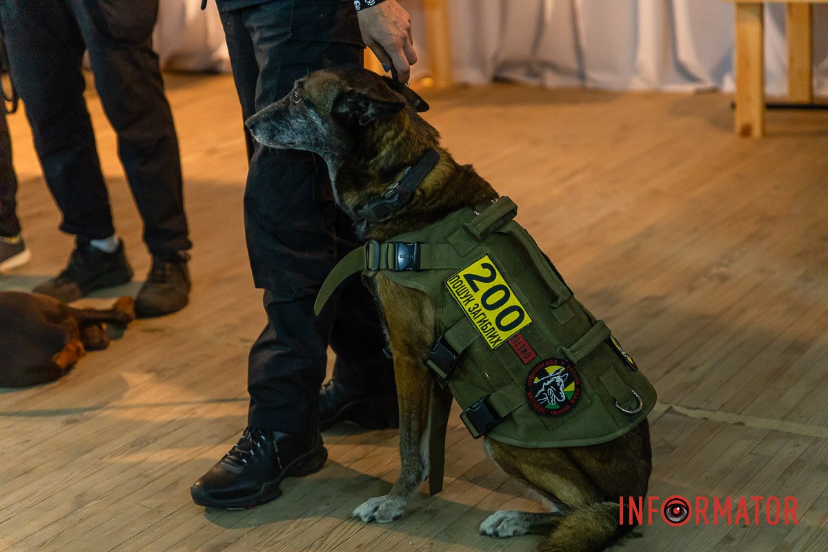 Спаркі. Ветеранка загону Спаркі. Ветеранка загону