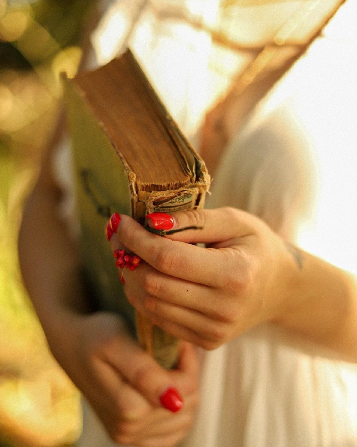 Фото: @serbin_ _v