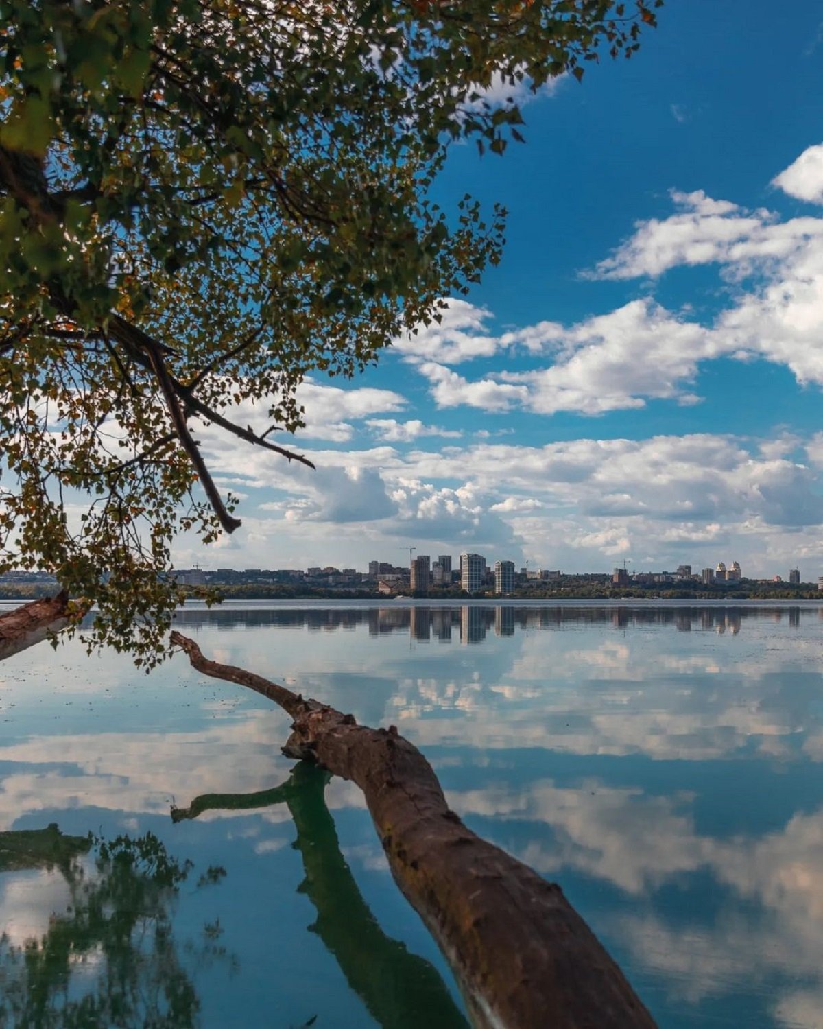 Фото: @pg_deniska