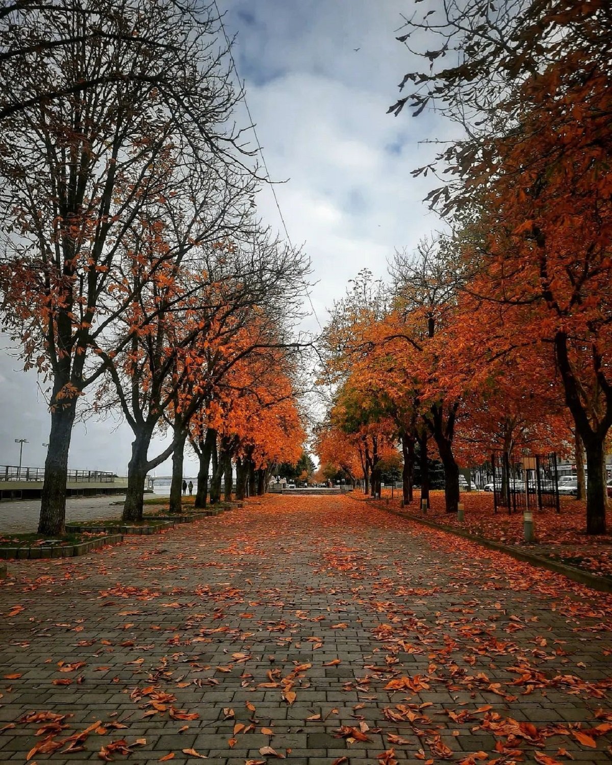 Фото: @photographer_andrey_moroz