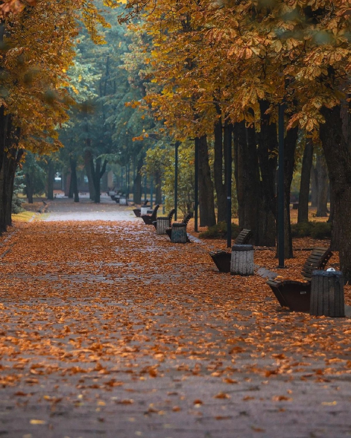 Фото: @dp.informator.ua Фото: @dp.informator.ua