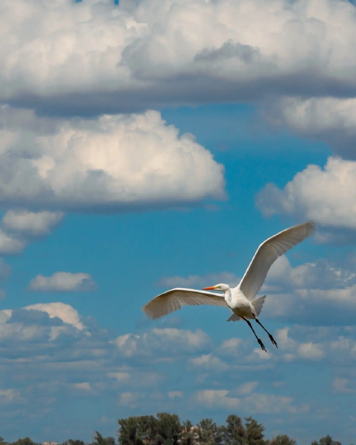 Фото: @ph_deniska Фото: @ph_deniska