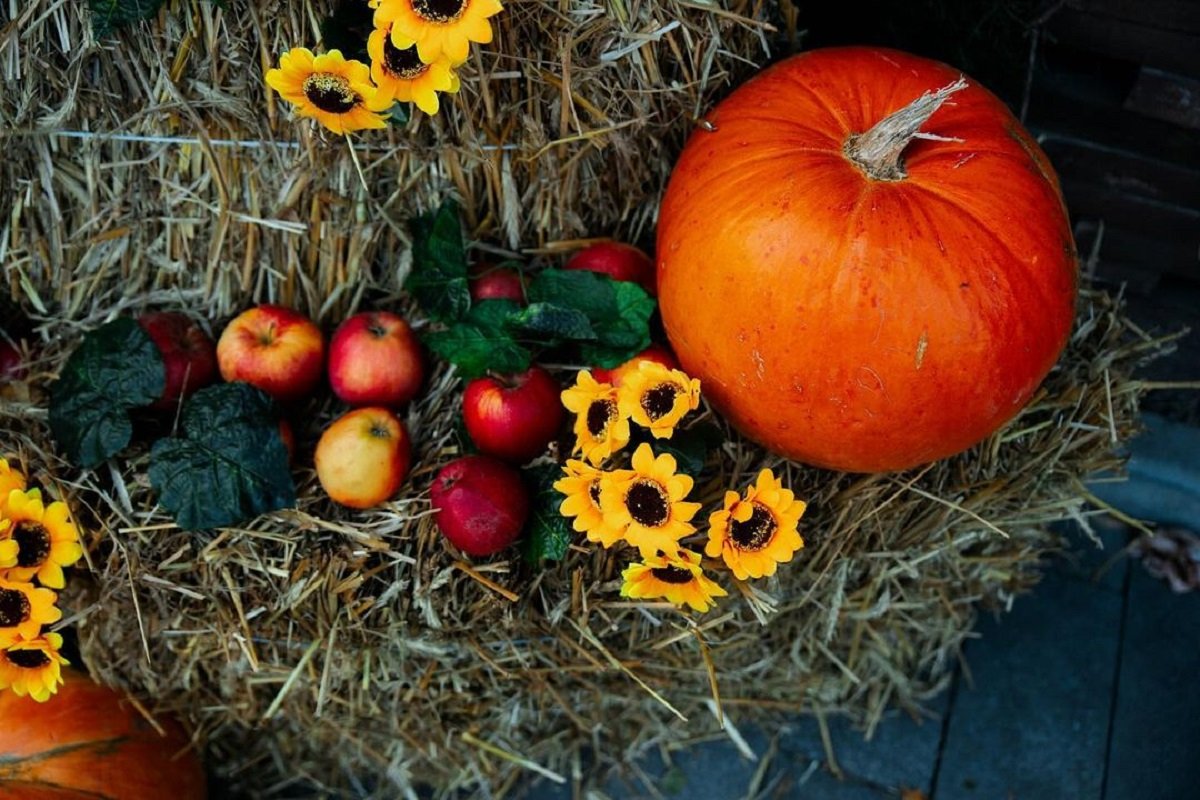 Фото: @_stepanov_photos_ Фото: @_stepanov_photos_