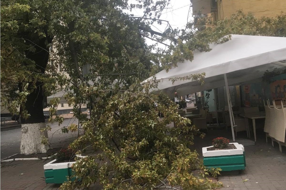 Ветка обрушилась на террасу кафе