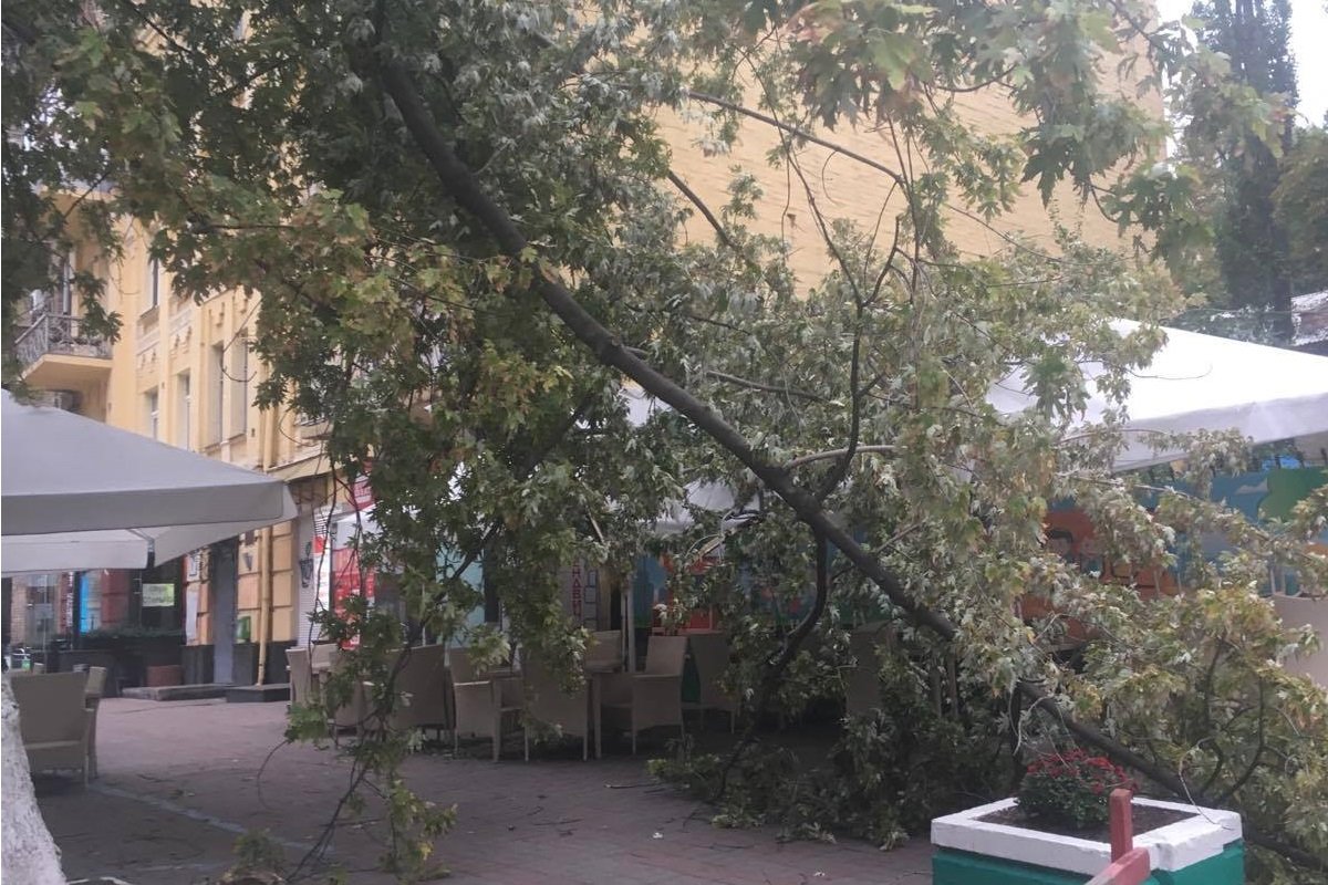 Пострадавших не оказалось