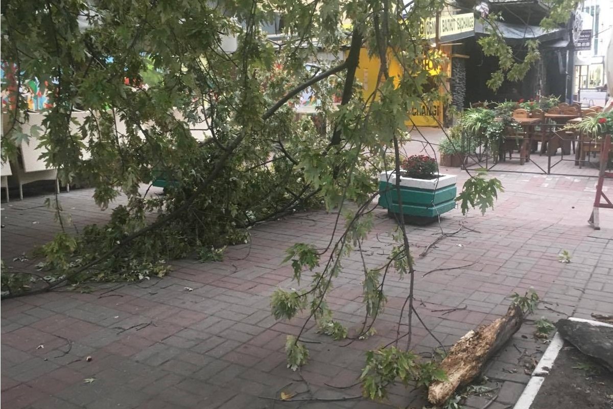 В Киеве объявили штормовое предупреждение