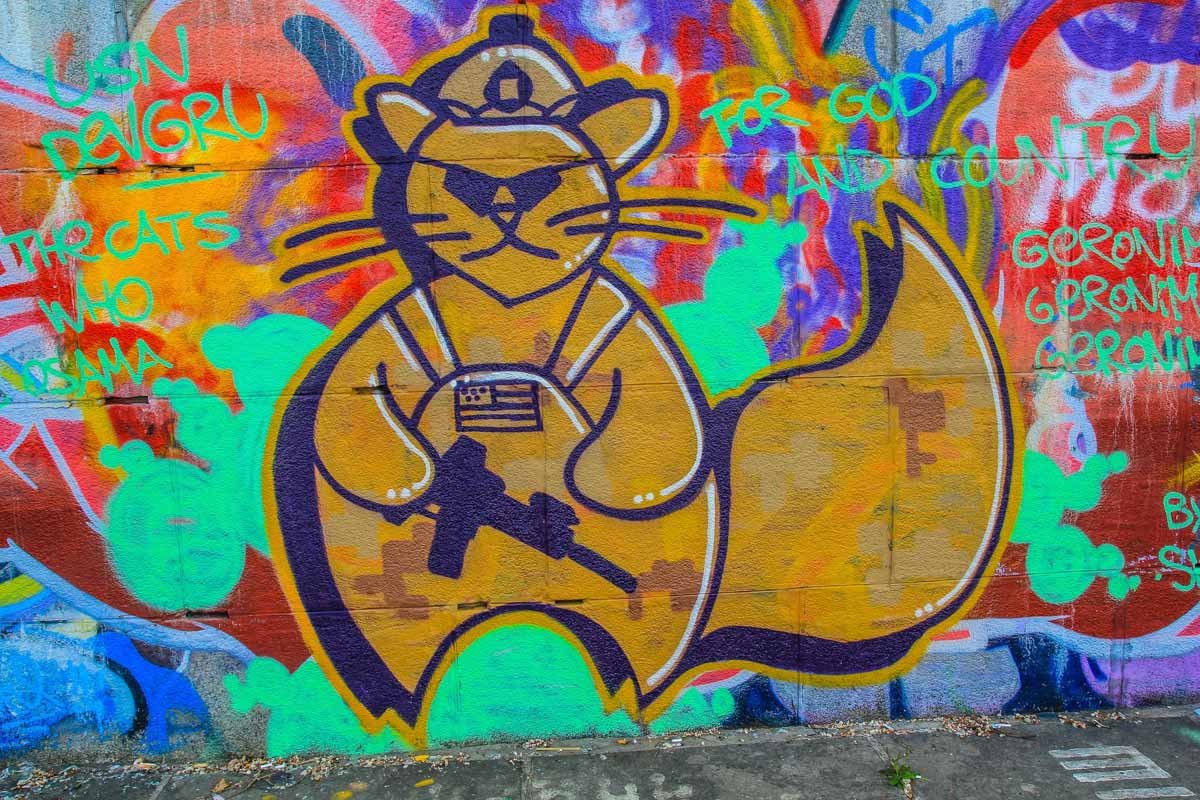 Вооруженный американский кот хорошо смотрится на набережной возле памятника основателям Киева