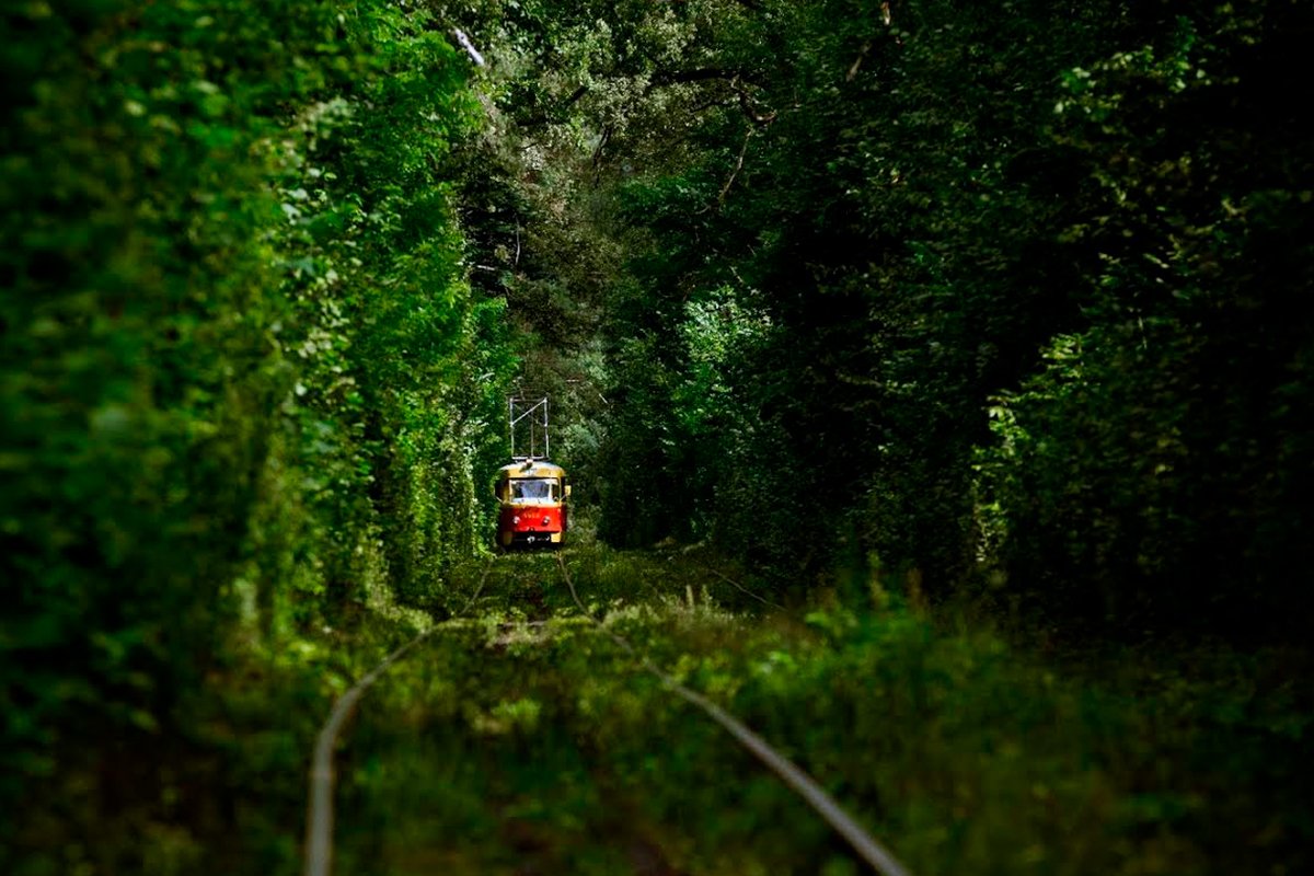 24 сентября в Киеве: куда пойти сегодня 4