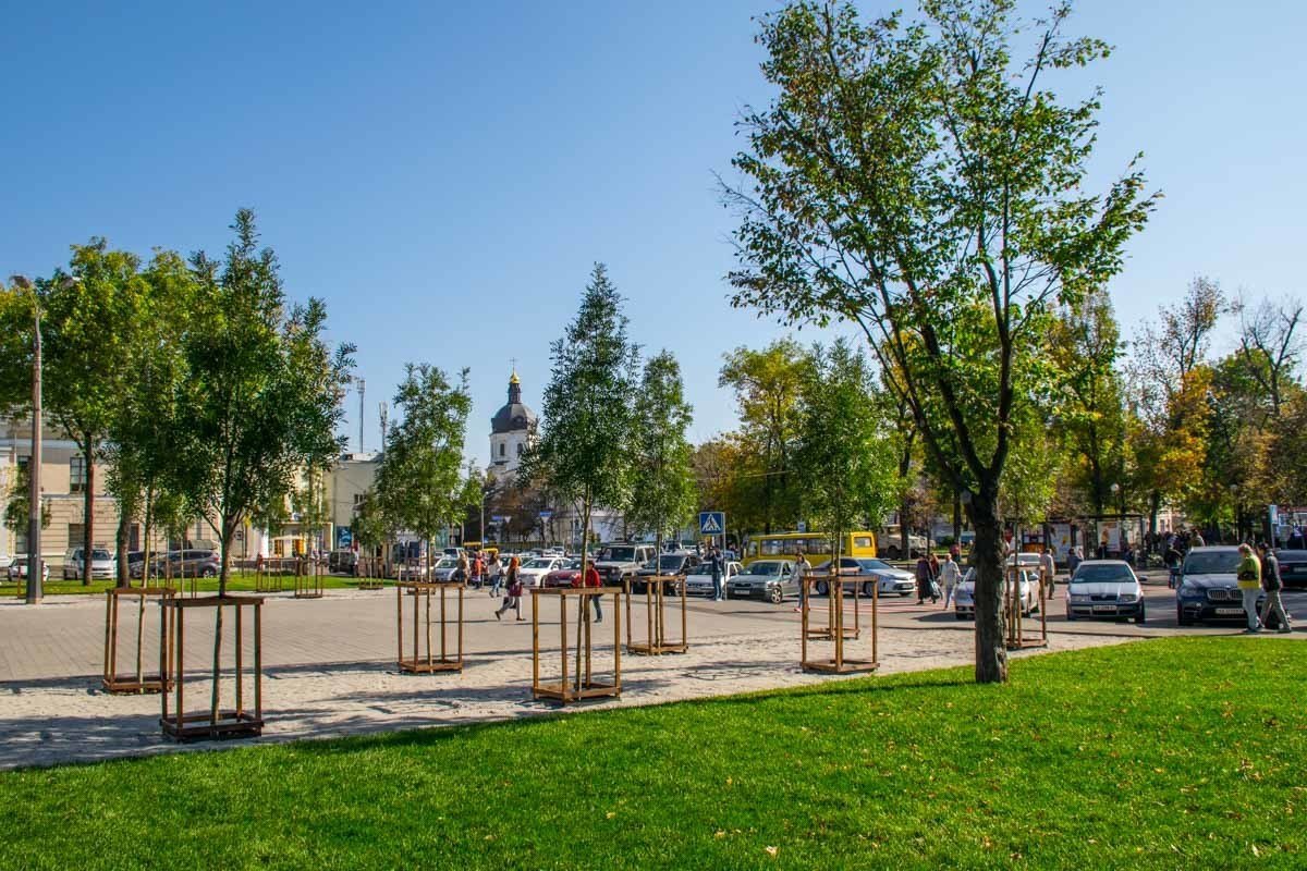 На площади высажено 36 ясеней и устелен новый газон