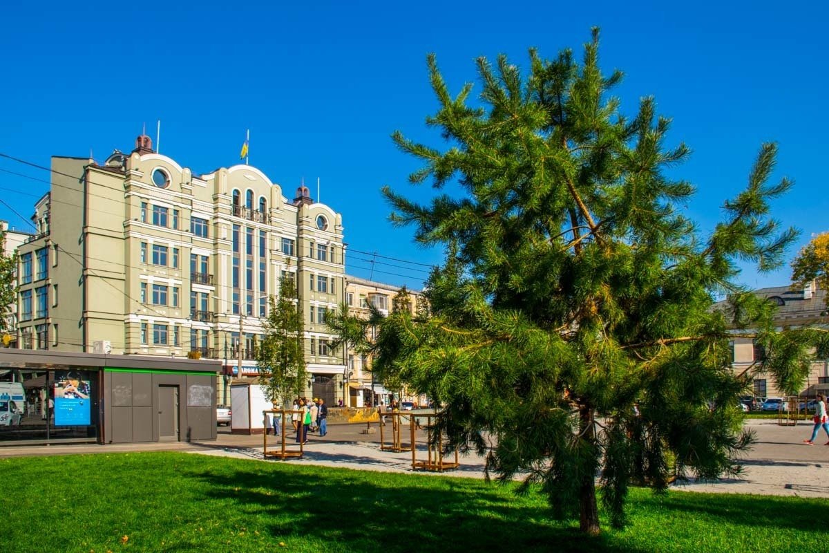 В сквере не будут установлены лавочки, так как проект рассматривался в виде транзитной зоны для посетителей