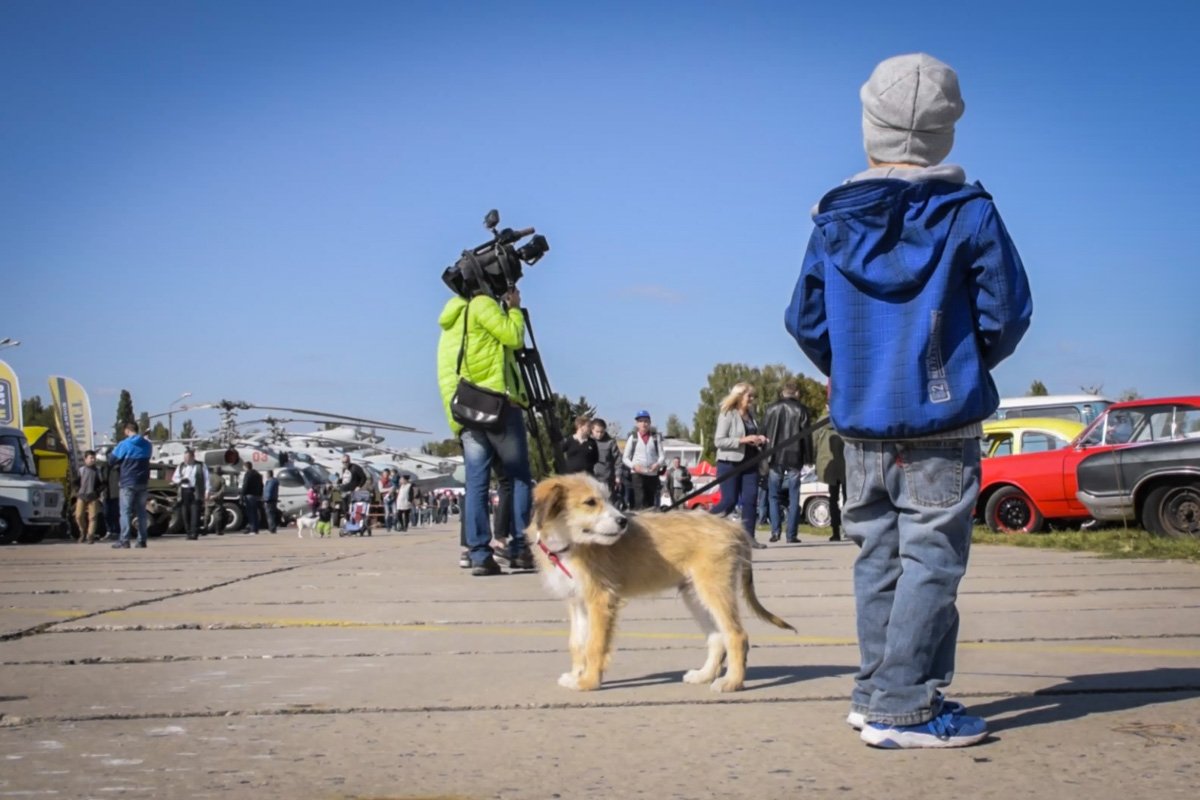 Выставка открыта для посещения до 1 октября