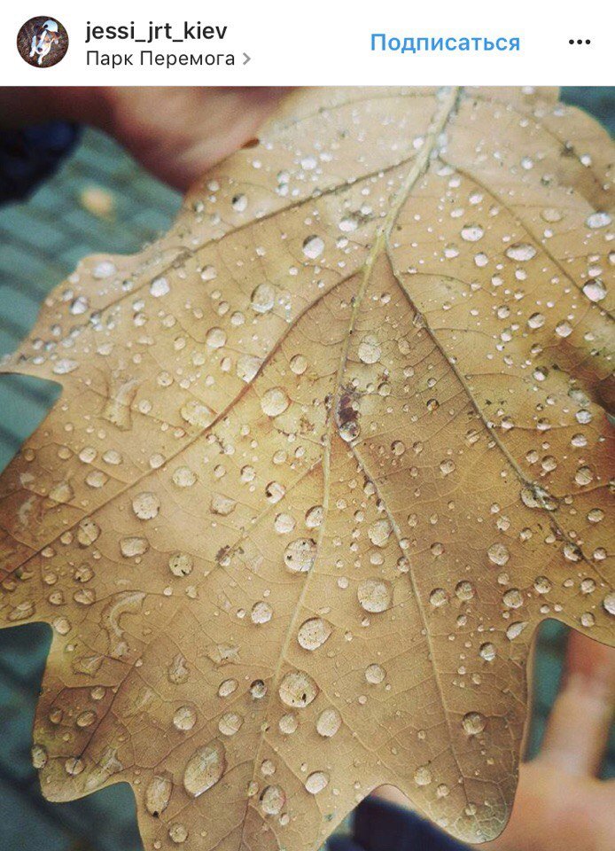 ТОП самых красивых фото дождливого Киева из Instagram 5