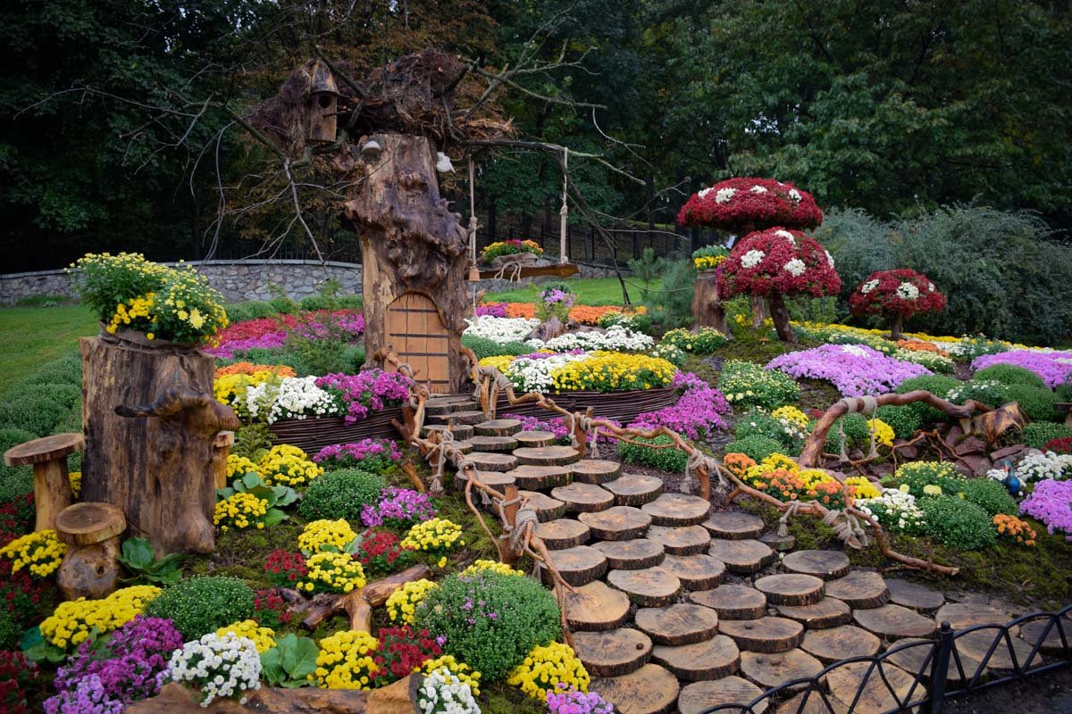 На фестивале представлено 12 видов хризантем по цветовой гамме