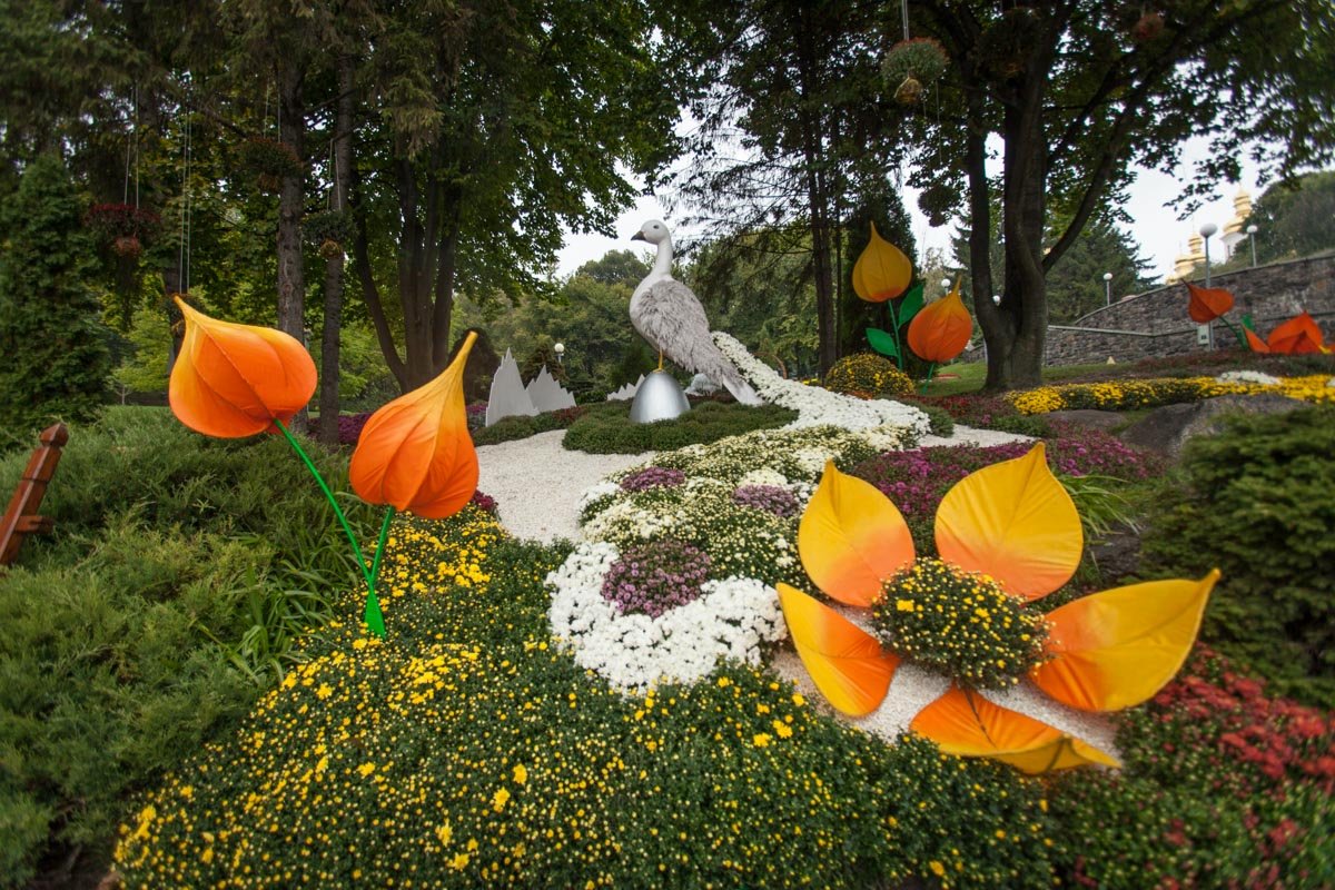 На выставке представлено более 25 000 хризантем