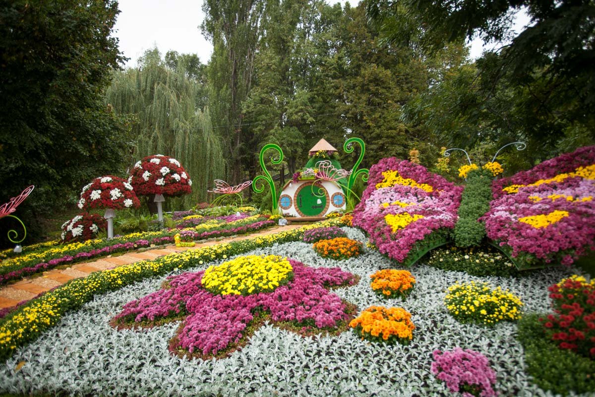 Фото: Витольд Явдощук