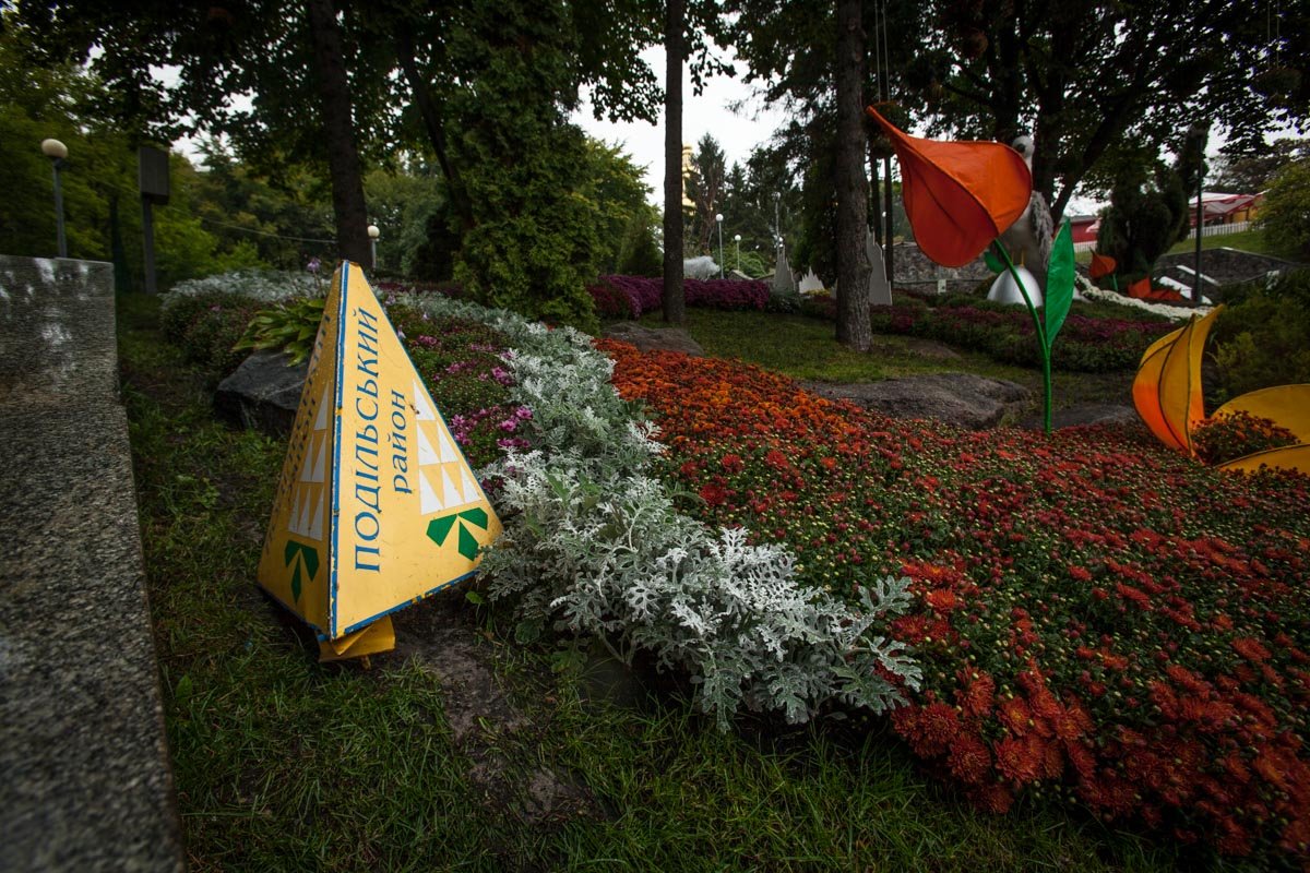 Фото: Витольд Явдощук