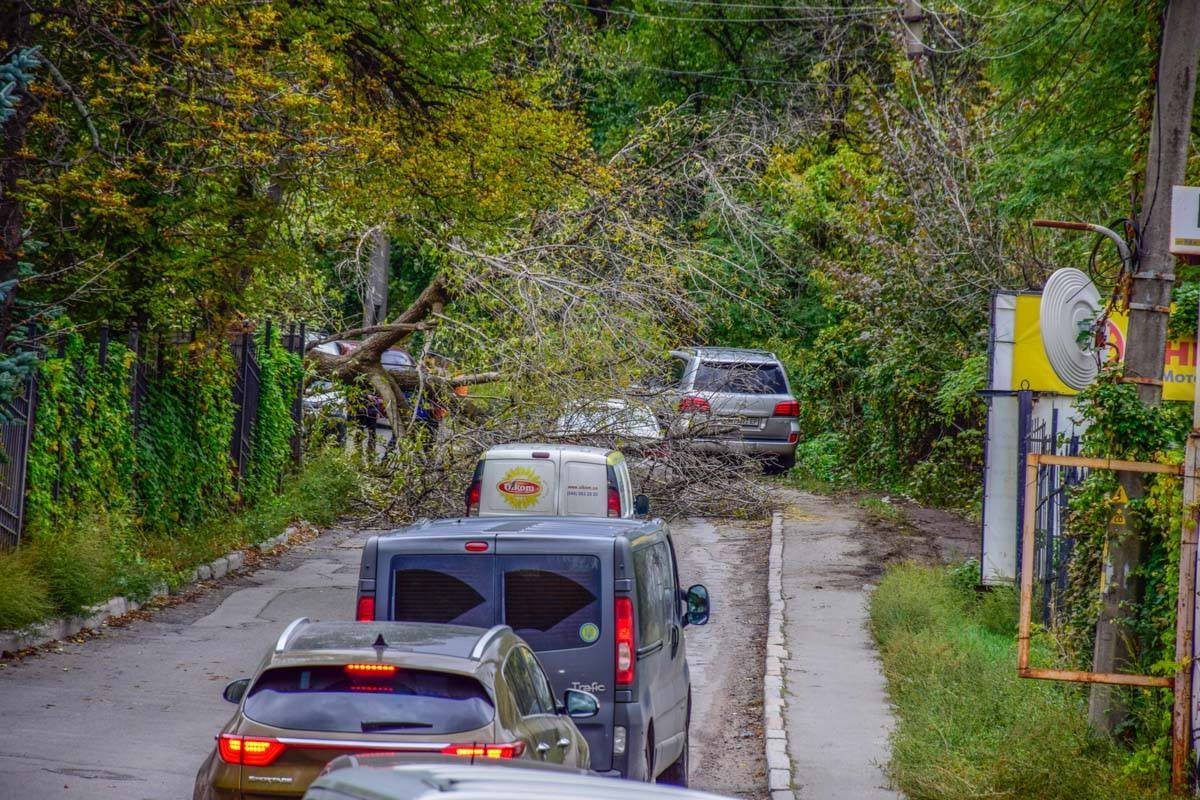 Дерево почти перекрыла движение на Нижнеюрковской