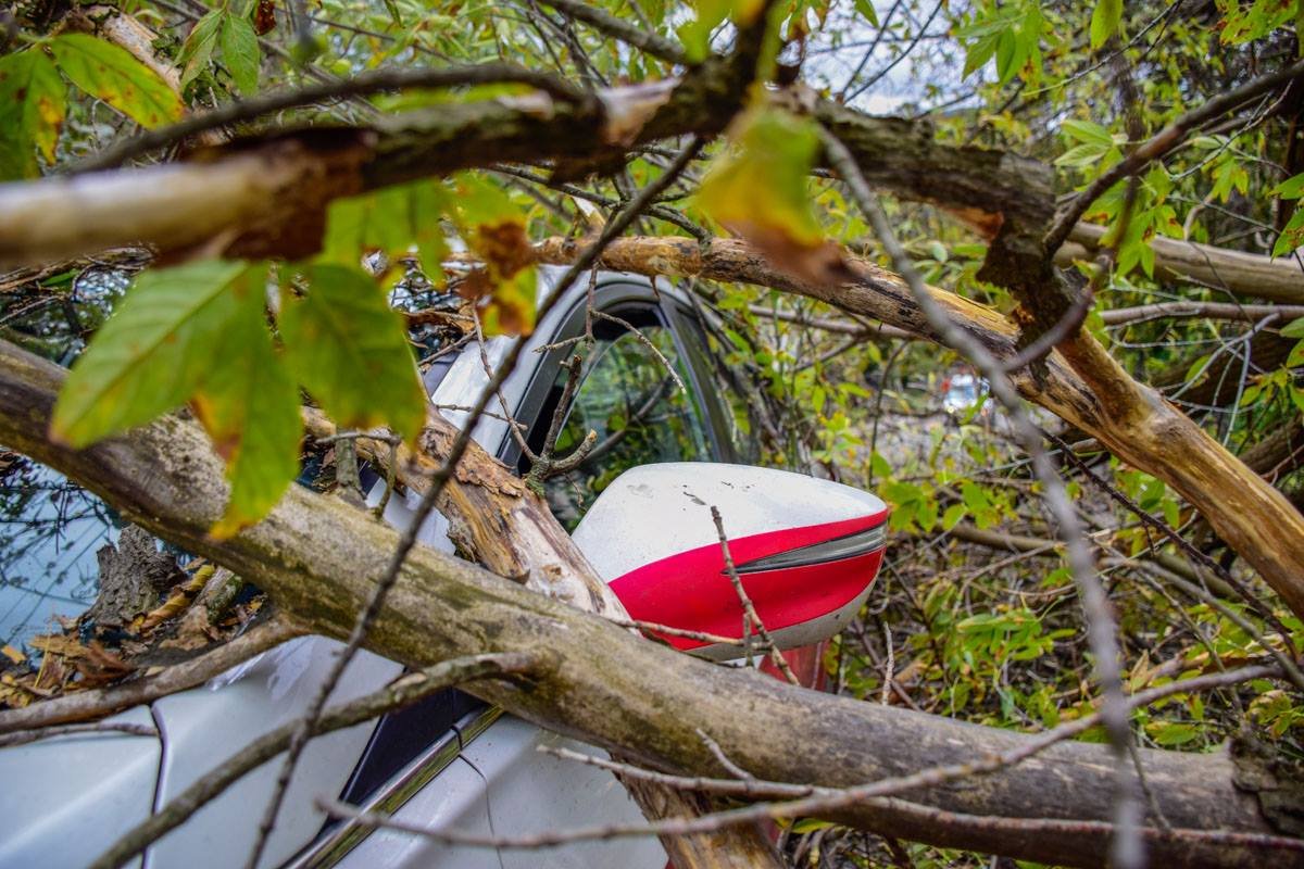 Водителю пришлось вылезать через пассажирское сидение
