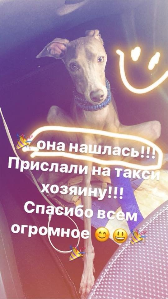 В Facebook сообщили о возвращении любимца домой