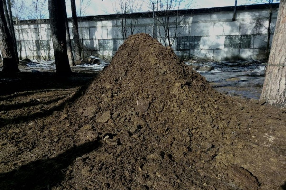 Презервативы, конский навоз и улитки: ТОП самых дешевых вещей, которые можно купить в Киеве 1