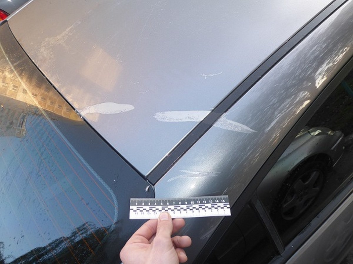 Поисками злоумышленников занялись правоохранители