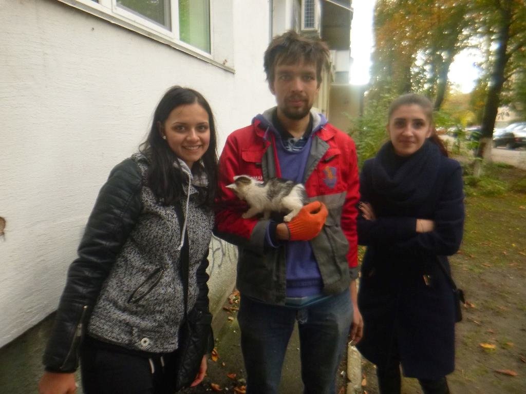 Котенка забрали люди, вызвавшие спасателей