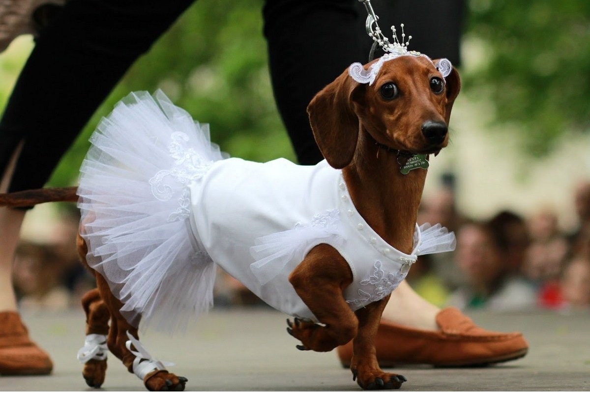 ТОП бесплатных мероприятий Киева в октябре 7