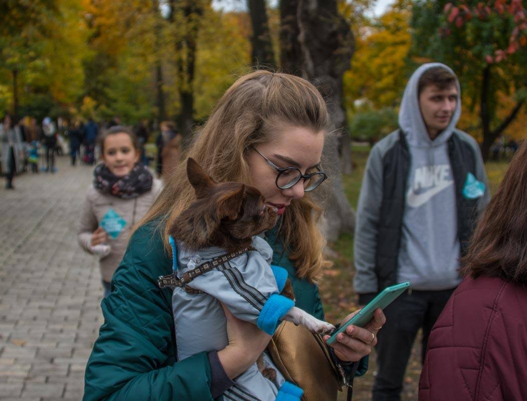 Многие участники акции взяли с собой домашних питомцев