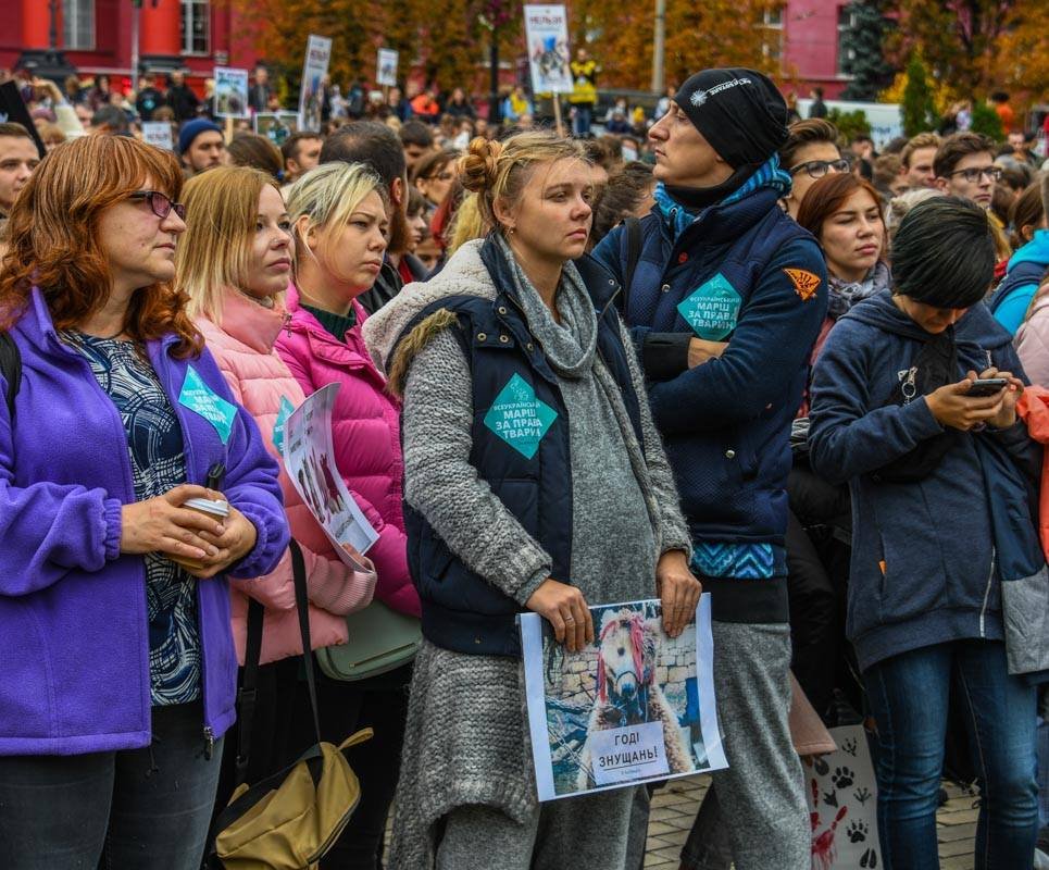 Большинство людей пришло с плакатами о прекращении насилии над животными