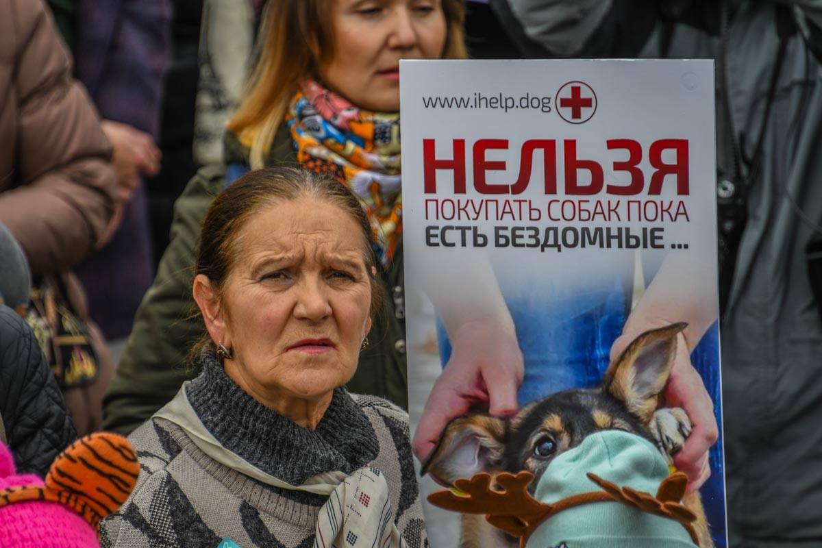 Людей на митинге призывали не покупать животных, а брать питомцев из приемника