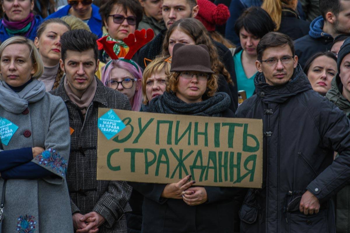 Активисты на марше