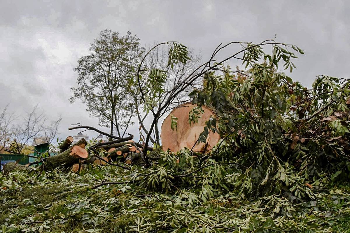 Фото: Дмитрий Коротчин