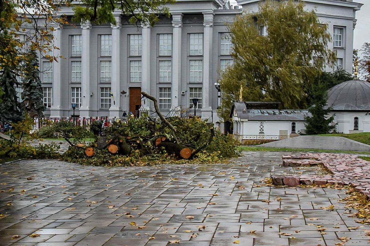 Фото: Дмитрий Коротчин