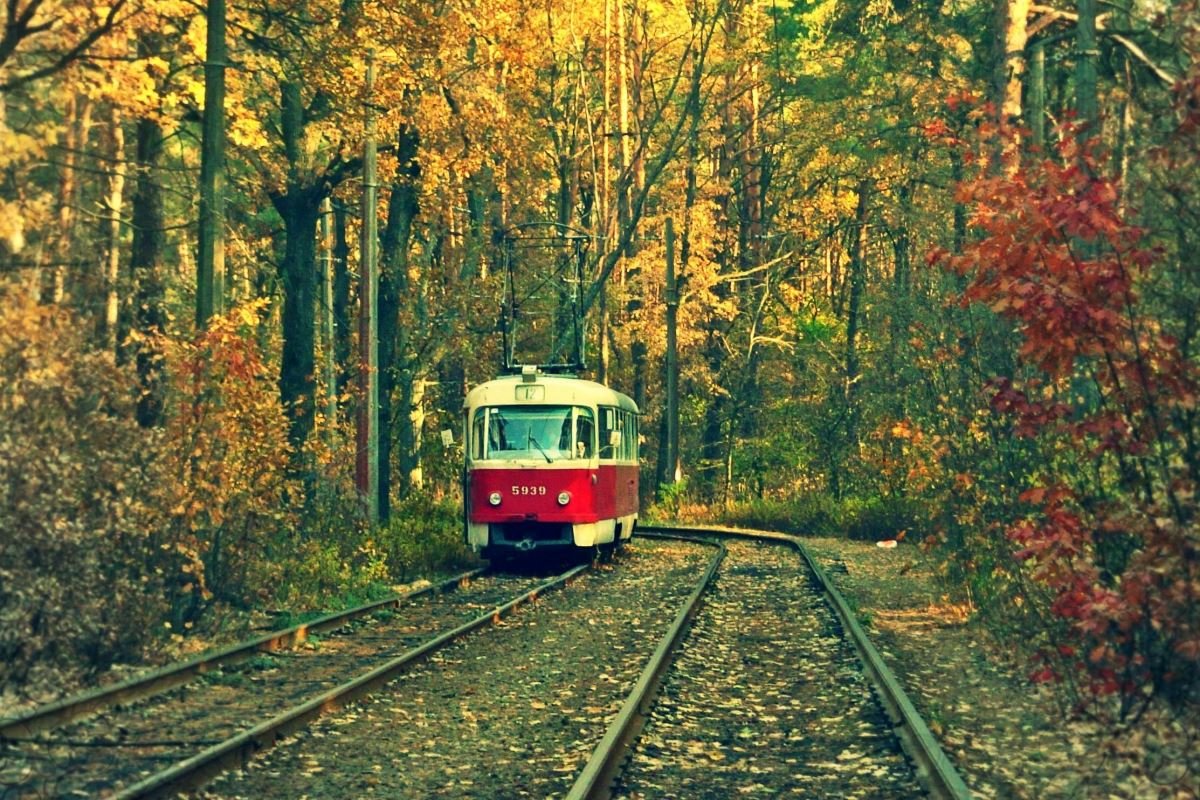 16 октября: куда пойти сегодня 2